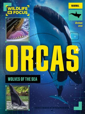 cover image of Orcas